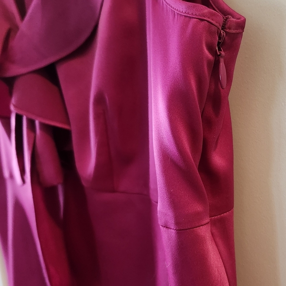 Ann Taylor Size 12. Polyester. Fuchsia. Beautiful Design and color. Gently used. - Picture 5 of 12